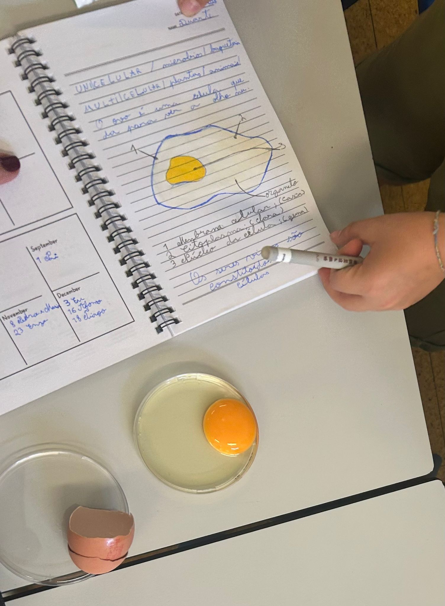 Biocientistas: a explorar o mundo invisível